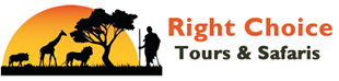 Right Choice Tours & Safaris